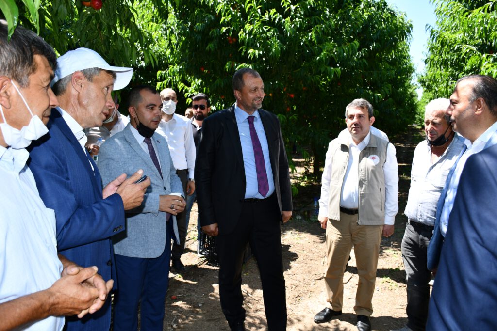 İZNİK’TE NEKTARİN HASADI ŞENLİK İLE BAŞLADI