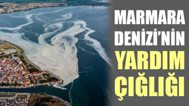 MARMARA DENİZİ’NİN SESSİZ ÇIĞLIĞI’NA AKADEMİK ODALARDAN PANEL İLE YANIT VERECEK