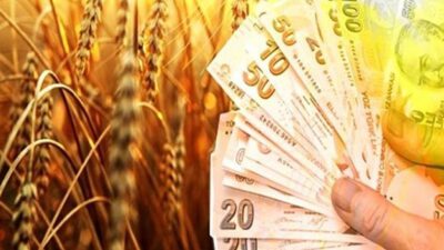 PASHA Bank’tan tarım sektörüne 2021’in ilk yarısında 96 milyon TL’lik destek