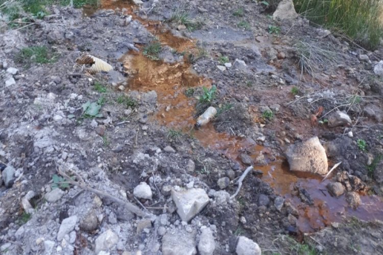 Bursa’da doğa katliamı! Kanalizasyonu doğaya bağlamışlar!