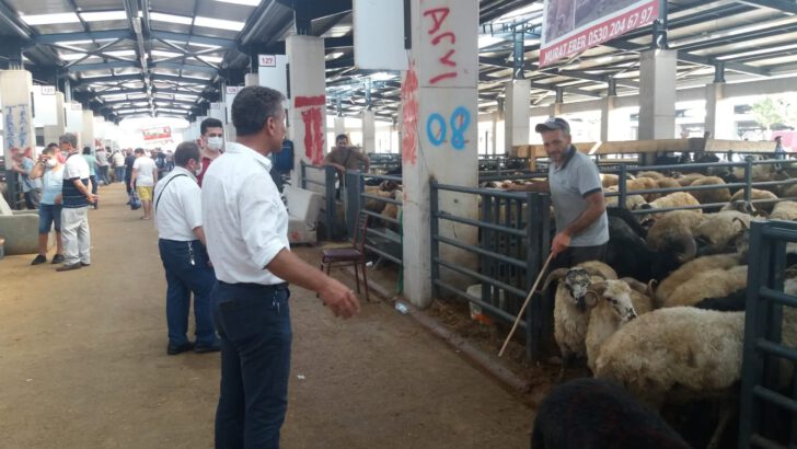 Kurban yeri kirasına tepki: “Rezidansta daire mi kiraladık”