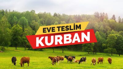 Eve teslim kurban hizmetiyle kesim alanlarındaki yoğunluğun önüne geçilecek