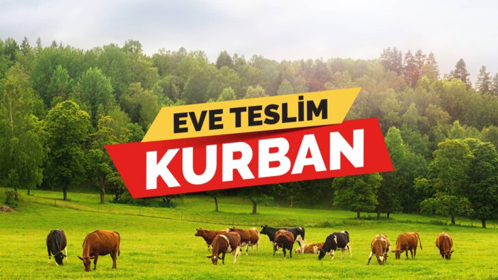 Eve teslim kurban hizmetiyle kesim alanlarındaki yoğunluğun önüne geçilecek