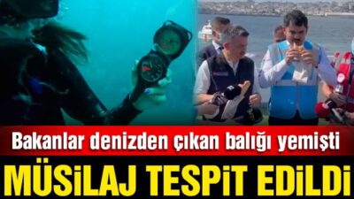 Bakanlar denizden çıkan balığı yemişti: 17 metrede müsilaj tespit edildi