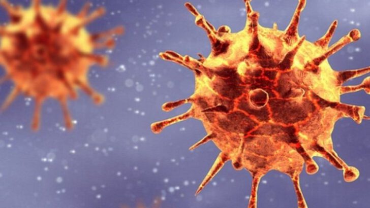 Virüs, Kovid-19 hastasında 40 kez mutasyona uğradı