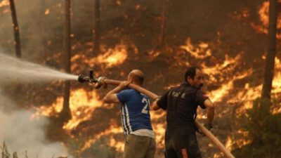 Fırsatçılar orman yangınlarını bile değerlendirdi! Bir günde yüzde 633 zam…