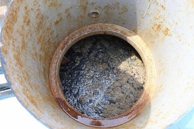 Müsilajın varlığı devam ediyor! “Koruma alanı ilan edilmeli”