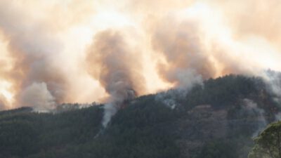 Burdur, Manavgat, Kaş, Adana ve Uşak’ta yangın