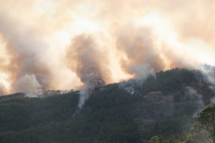 Burdur, Manavgat, Kaş, Adana ve Uşak’ta yangın
