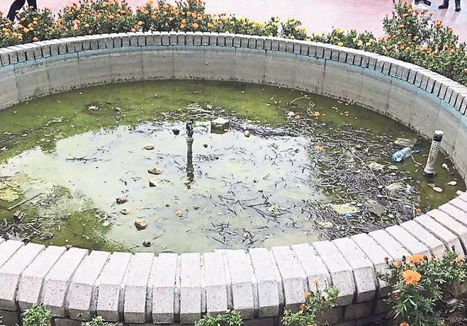 Su Havuzları…Bursa’da Görülmeyen Tehlike!