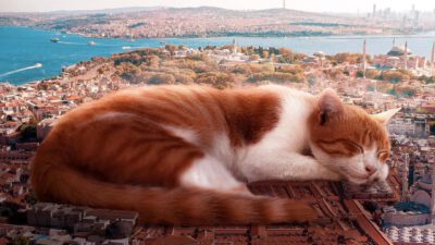 Fantastik bir dünya: Hayallerde İstanbul