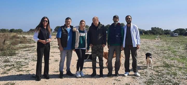 DOHADERN’den Sokak Can’larına Aşı Desteği!