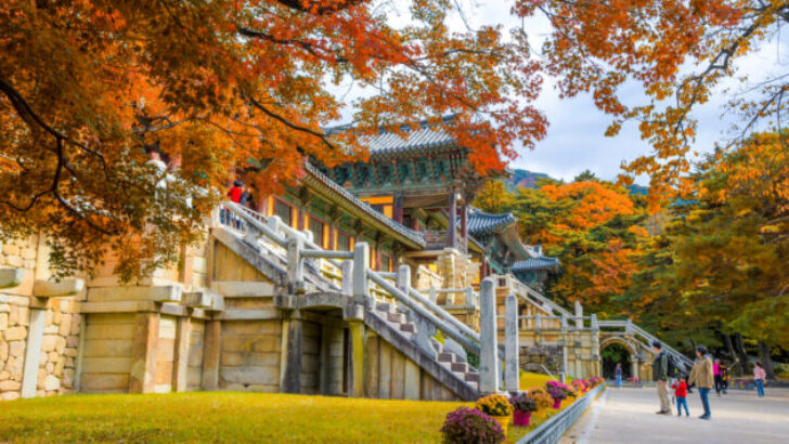 Sonbahar, Güney Kore’de Bir Başka Güzel