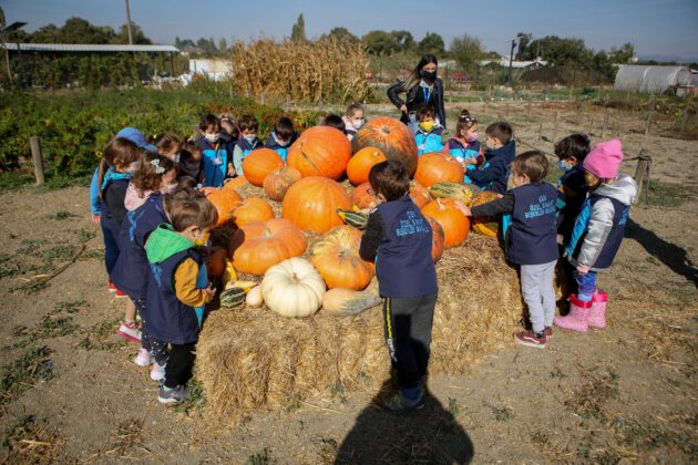 Minikler tarımsal üretimi yerinde gördü