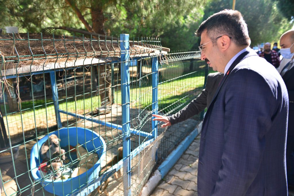 YILDIRIM’DA SOKAK HAYVANLARI EMİN ELLERDE