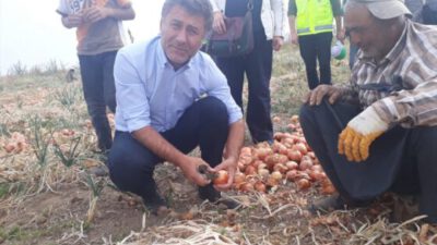 Çiftçiye üretme deniliyor