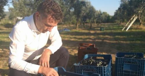 Sofralık zeytinde prim en az 1 lira olmalı