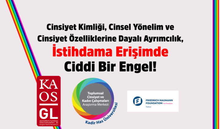 Cinsiyet Kimliği, Cinsel Yönelim ve Cinsiyet Özelliklerine Dayalı Ayrımcılık, İstihdama Erişimde Ciddi Bir Engel!