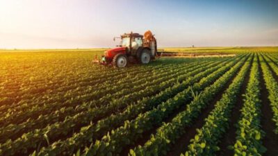 Tarım ve gıdadaki sorunların çözümü üretim odaklı politikadan geçiyor
