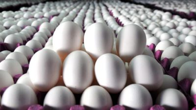 Yumurta Fiyatlarındaki Yükselişe Sektör Liderinden Kritik Uyarı!