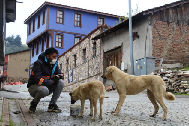 Sokak hayvanları için beslenme seferberliği