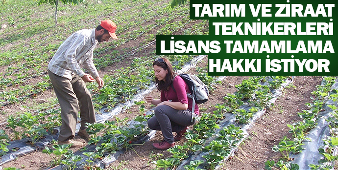 ZİRAAT TEKNİKERLERİNE LİSANS TAMAMLAMA HAKKI VERİLSİN