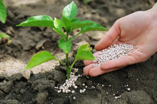 Savaş koşulları gübre fiyatlarına tavan yaptırdı!