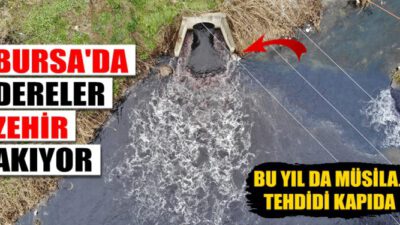 Bu yıl da müsilaj tehdidi kapıda