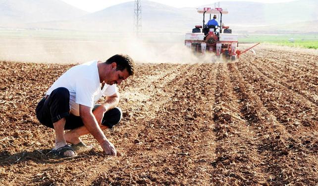 Sarıbal: Gıda enflasyonu artmaya devam edecek
