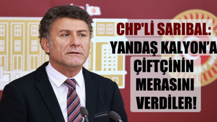 Memleketin canına okuyorlar