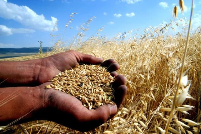 ÇİFTÇİLERE TARIM SİGORTASI SEMİNERİ YAPILDI