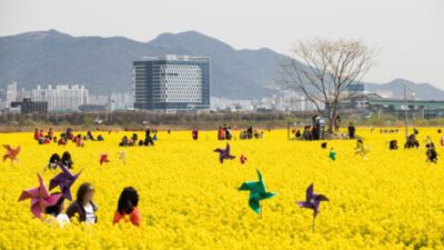 Güney Kore’de Bahar, ‘Çiçek Festivalleri’ ile Yaşanıyor