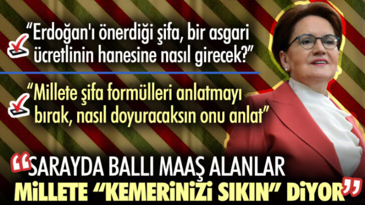 Akşener’den Erdoğan’a: Herşeyoloji’ profesörü