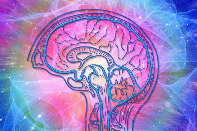 NEUROSIST ve YENİ DÜZEN’İN DEĞİŞTİRDİĞİ HAYATLAR