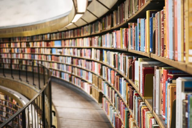 Belleklerden uzun süre silinmeyecek bir dostluk romanı