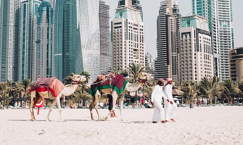 Dünyanın ilk yeni nesil topluluk NFT’si Dubai’de tanıtıldı