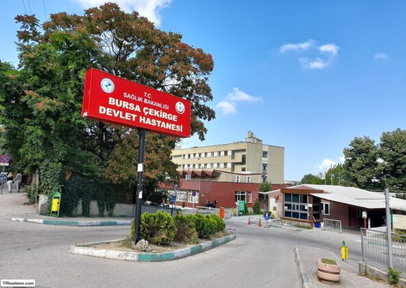 Taşınan Kamu Binalarının Yıkılmasına Karşıyız! Boşaltılan Binalar Kadınlara Yuva Olmalı!