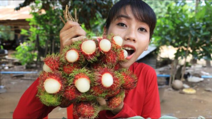 Uzakdoğudan yeni bir şifalı meyve keşfi daha: Rambutan Meyvesi