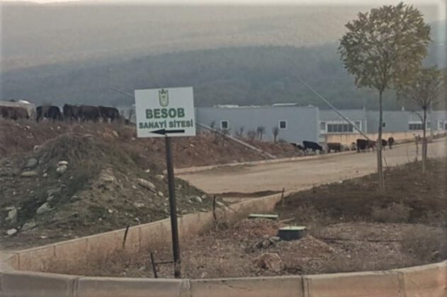 ‘Yapacak güç kalmadı’