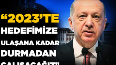 Erdoğan: Hedefimize ulaşana kadar durmadan çalışacağız