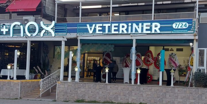 “NOX Veteriner Muayenehanesi Yoğun İlgiyle Açıldı”