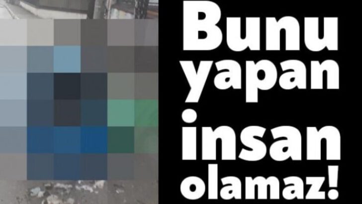 Bunu yapan insan olamaz!