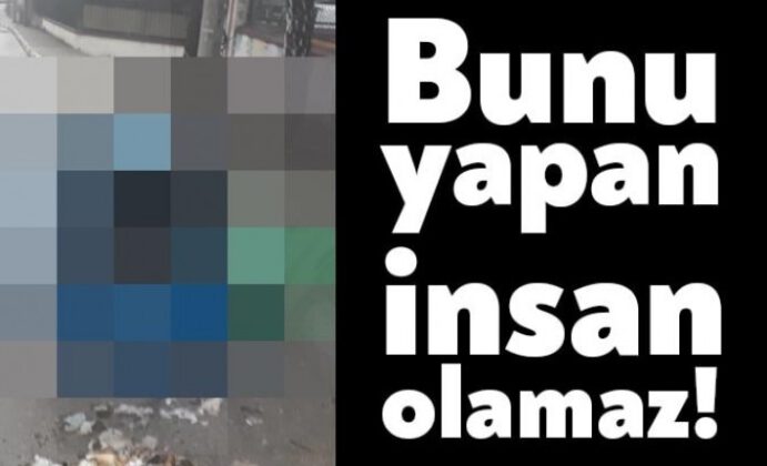 Bunu yapan insan olamaz!