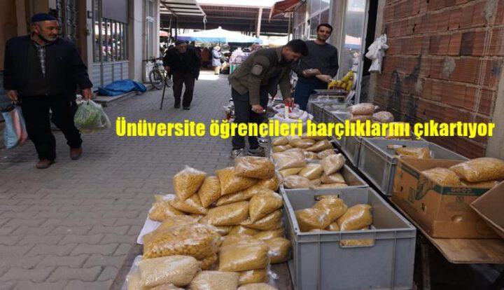 HACI DEDE