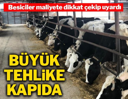 Besicilerden Hükümet’e Uyarı…Tehlike büyüyor, sayı her geçen gün azalıyor!