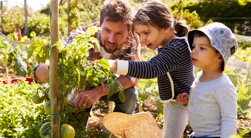Avrupa’nın en büyük bahçesi, “Corn Maze Bahçe” Ağva’da kuruluyor