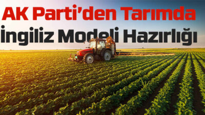 Tarımda ‘İngiliz modeli’ hazırlığı