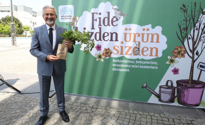 NİLÜFER BELEDİYESİ 400 BİN FİDE DAĞITACAK