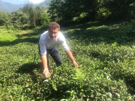 TEKEL’İ yok ettikleri gibi ÇAYKUR’u da yok edecekler!