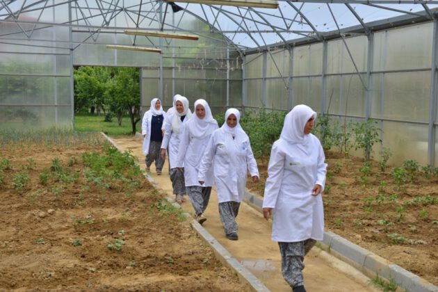 YILDIRIM’IN ‘ÖZEL’ ANNELERİ ÜRETİYOR